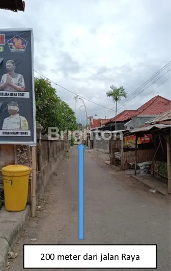 image TANAH KEBUN TEGAL SAWAN 179 ARE BULELENG (4)