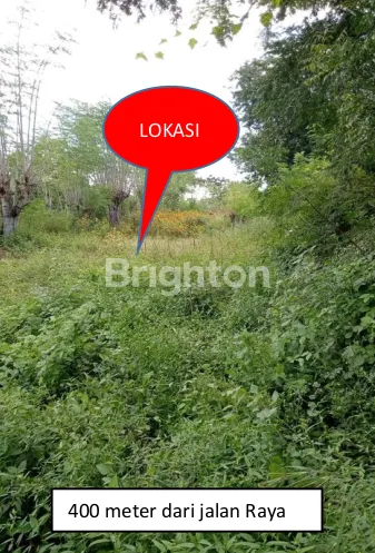 image TANAH KEBUN TEGAL SAWAN 179 ARE BULELENG (1)