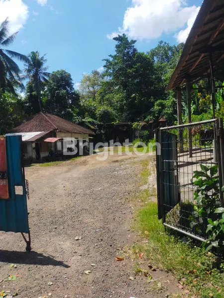 image TANAH DI JALUR UTAMA AKSES TRONTON (2)