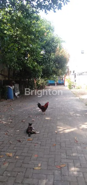 image RUMAH ASRI DI KIWI (2)