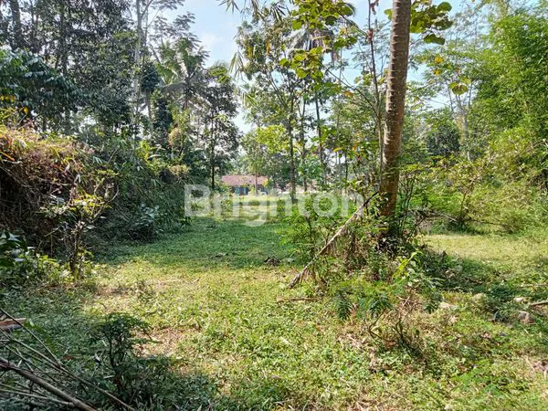 image COCOK UNTUK VILLA / PENGINAPAN, TANAH LUAS 2154 M, KONTUR DATAR, LEBAR MUKA 22 M, AKSES JALAN TRUK KECIL MASUK DAN MOBIL PAPASAN LANCAR, AREA STRATEGIS 100 M DARI JALAN KALIURANG, 300 M KE HOTEL TAMAN EDEN 2, 1 KM KE LOKET GERBANG TAMAN WISATA KALIURANG. (2)