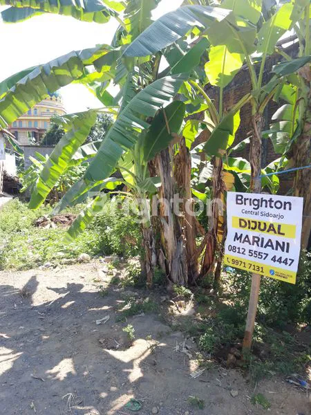 image DI JUAL TANAH DI DESA TEMPEL KRIAN SIDOARJO (SIAP BANGUN). (1)