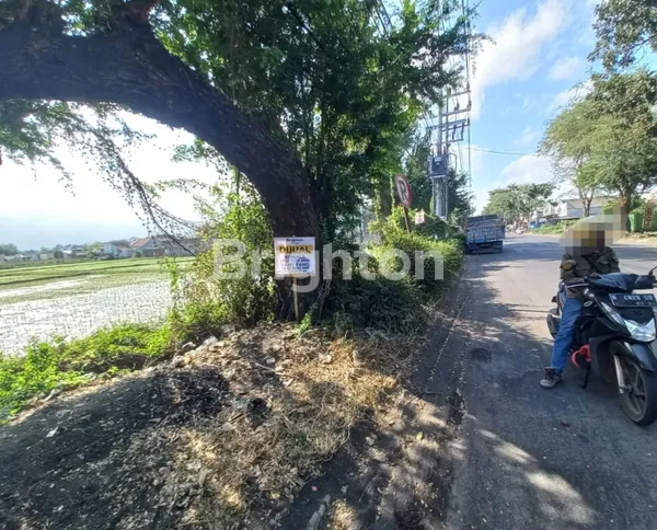 image TANAH LUMAJANG* JL SLAMET RIYADI DAERAH "PELITA" (2)