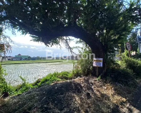 image TANAH LUMAJANG* JL SLAMET RIYADI DAERAH "PELITA" (4)