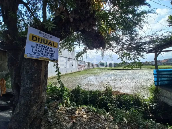 image TANAH LUMAJANG* JL SLAMET RIYADI DAERAH "PELITA" (5)