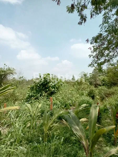 image TANAH LUAS (2)