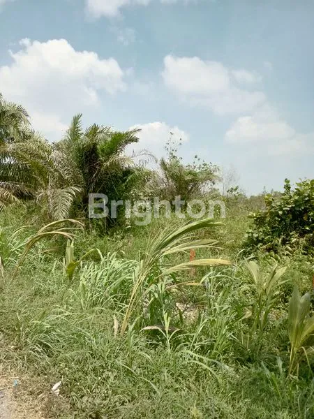 image TANAH LUAS (3)