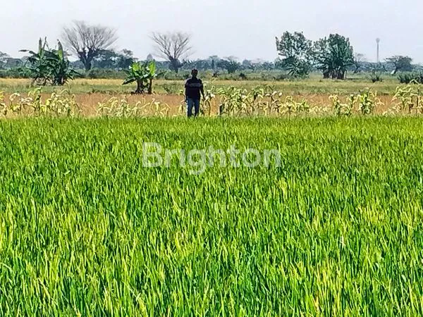 JUAL TANAH DI LINGKAR UTARA NYA LAMONGAN LOKASI STRATEGIS