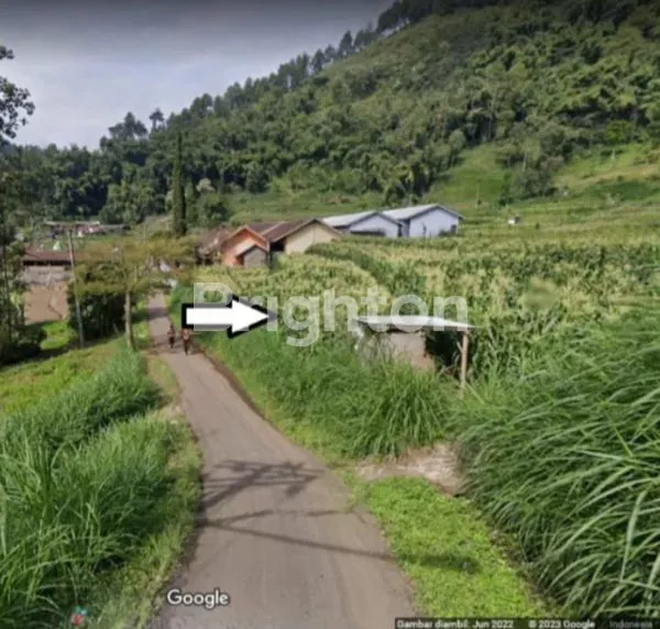 image TANAH  JUAL  CEPAT NOL JALAN DAERAH BUMIAJI (1)