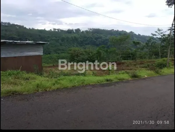 image DIJUAL TANAH LUAS 4815M PERSEGI DI DAERAH JEDONG WAGIR MALANG (1)