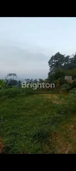 image TANAH COCOK UNTUK PERKEBUNAN DI MALANG (1)