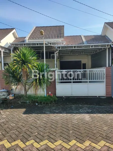 image D GARDENIA (5)