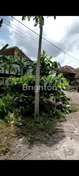 image TANAH POTENSIAL UNTUK INVESTASI, DIBANGUN RUMAH, KOST AN, GUEST HOUSE,GUDANG,HOME INDUSTRI (3)