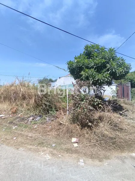 image KAVLING SUKOLILO , KEPUTIH, SANGAT DEKAT DENGAN OERR (3)