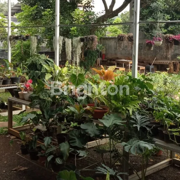 image TANAH DI JL. PPA CIPAYUNG (4)