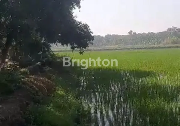 image KAVLING STRATEGIS LINGKAR TIMUR SIDOARJO COCOK BUAT INDUSTRI ATAU PERGUDANGAN (2)