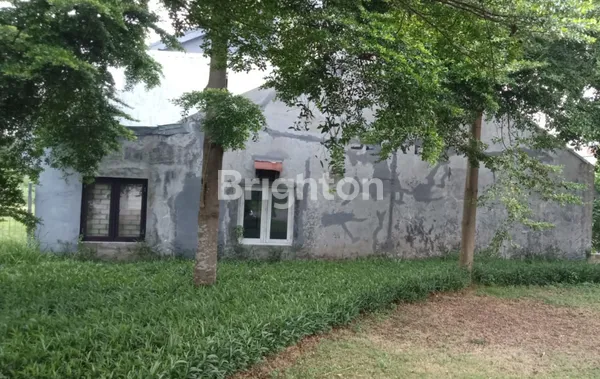 image MURAH RUMAH HITUNG TANAH BUKIT PALMA (2)