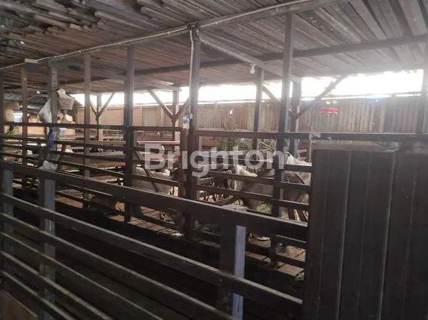 image GUDANG DI DAMANHURI  (6)