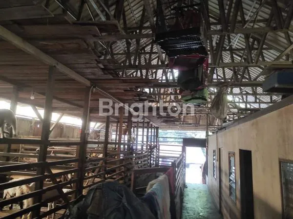 image GUDANG DI DAMANHURI  (3)