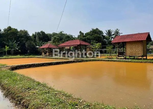 image TANAH STRATEGIS COCOK UNTUK BISNIS PERIKANAN (4)