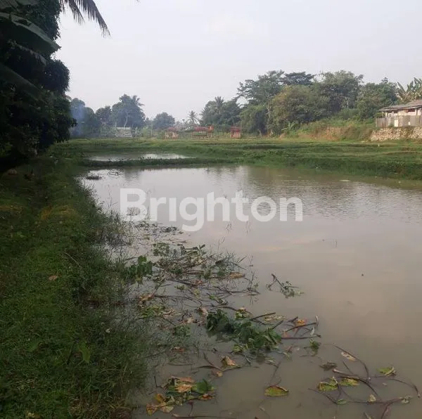 image TANAH STRATEGIS COCOK UNTUK BISNIS PERIKANAN (5)