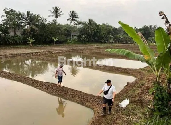 image TANAH STRATEGIS COCOK UNTUK BISNIS PERIKANAN (1)