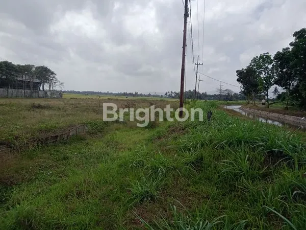 image LAHAN STRATEGIS AJUNG JEMBER (2)