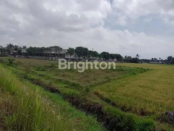 image LAHAN STRATEGIS AJUNG JEMBER (6)