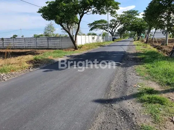 image TANAH MURAH DI DRIYOREJO MENGANTI HANYA 1 JUTA AN PERMETER (5)