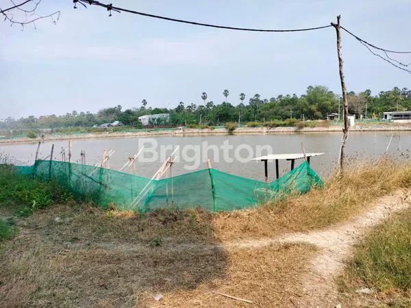 JUAL TANAH DI PACIRAN KOTA LAMONGAN