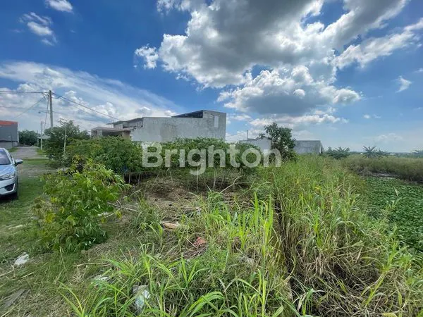 image TANAH DI BOTENG MENGANTI GRESIK (1)