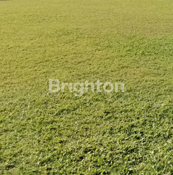 Gambar Property TANAH 60M², HULAAN MENGANTI, SIAP BANGUN, DALAM PERUMAHAN