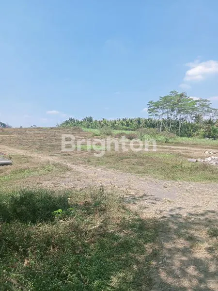 image  TANAH MURAH DI WAGIR KABUPATEN MALANG (5)