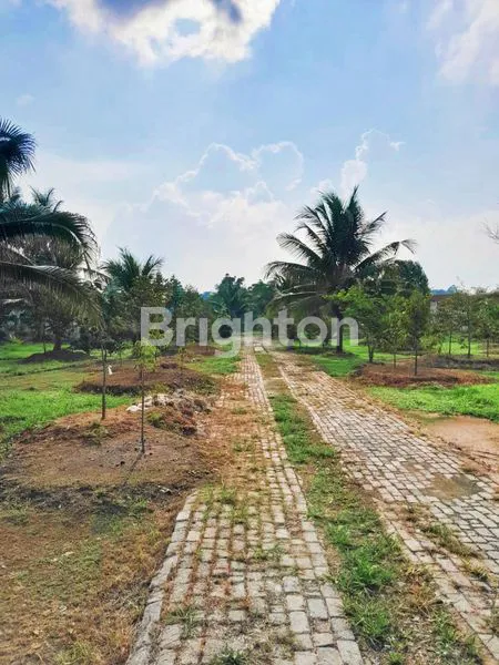 image TANAH TANJUNG MORAWA, SUDAH TEMBOK KELILING,  SHM (3)