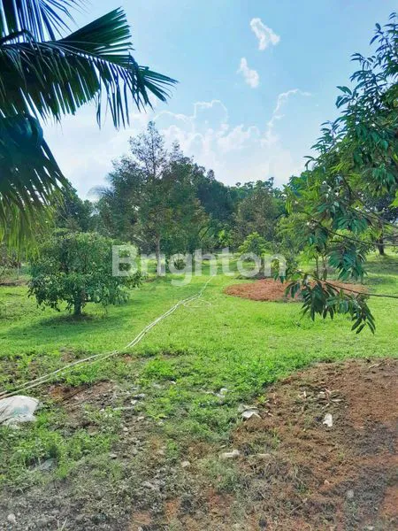 image TANAH TANJUNG MORAWA, SUDAH TEMBOK KELILING,  SHM (5)