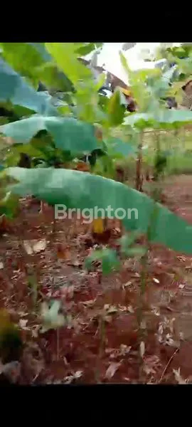 image TANAH RATA SIAP BANGUN RUMAH (2)