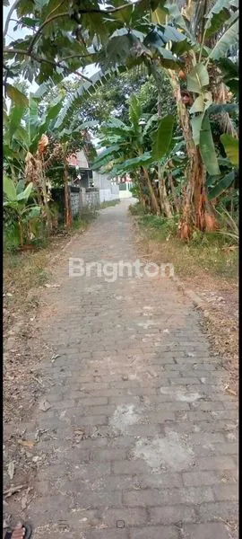 image TANAH RATA SIAP BANGUN RUMAH (4)