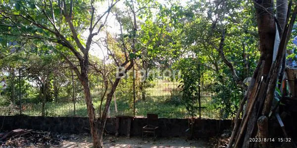 image JUAL TANAH DI TENGAH KOTA YOGYAKARTA (7)