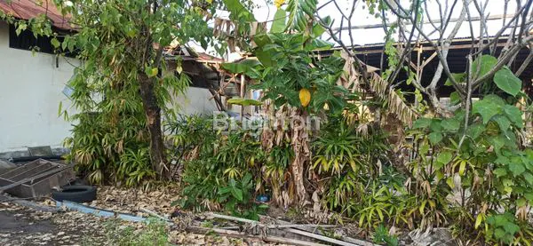 image TANAH MURAH DI KEROBOKAN  (6)