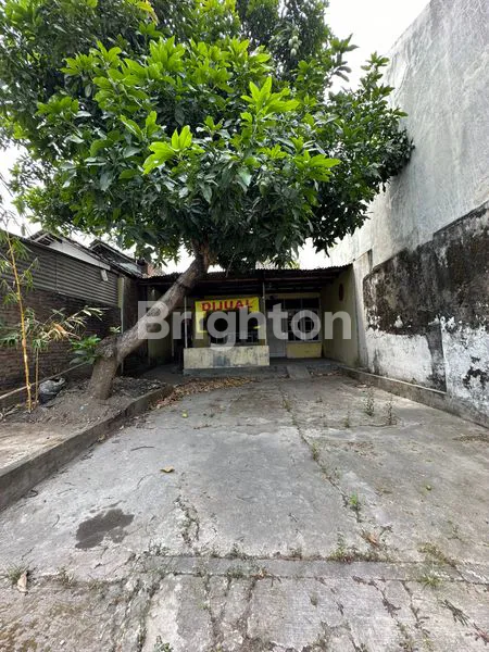 image TURUN HARGA!!! JUAL CEPAT! TANAH BONUS RUMAH TUA DI JALAN UTAMA GAWOK MAYANG SUKOHARJO (1)