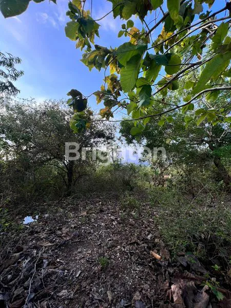 image TANAH JIMBARAN  FULL VIEW  (6)