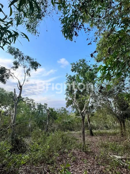 image TANAH JIMBARAN  FULL VIEW  (7)