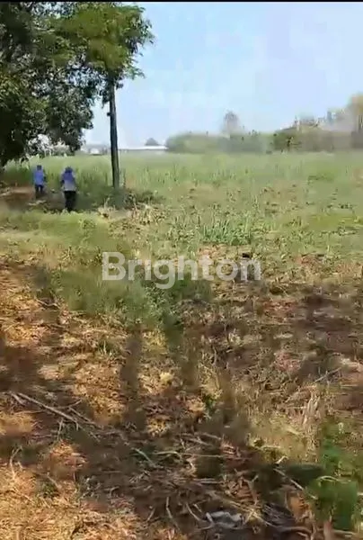 TANAH INDUSTRY DI KEMLAGI MOJOKERTO