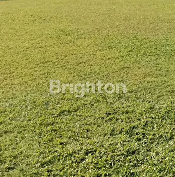 Gambar Property TANAH 133,1M², HULAAN MENGANTI, SIAP BANGUN, DALAM PERUMAHAN