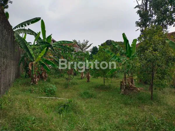 image RUMAH  HITUNG TANAH STRATEGIS PINGGIR JALAN DI PAMOYANAN BOGOR (5)