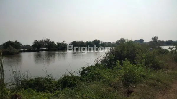 image TAMBAK BANDENG AKTIF DI UJUNG PANGKAH GRESIK JAWA TIMUR (6)