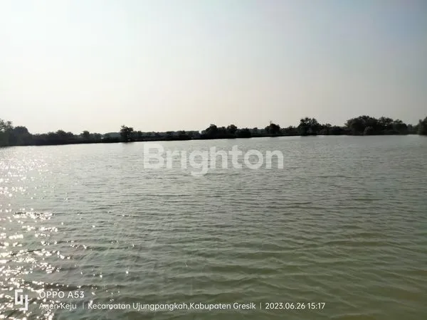 image TAMBAK BANDENG AKTIF DI UJUNG PANGKAH GRESIK JAWA TIMUR (8)