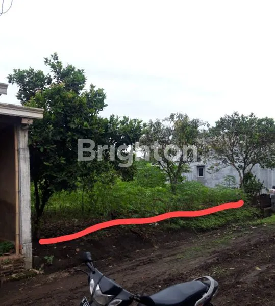 image KAVLING MURAH MALANG DEKAT PABRIK GULA NEGO (1)