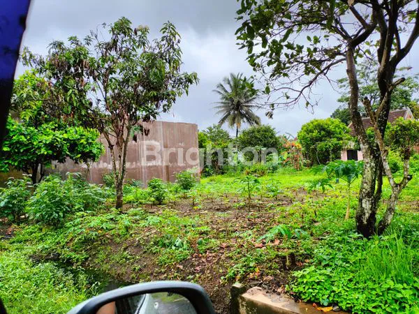 image KAVLING MURAH MALANG DEKAT PABRIK GULA NEGO (2)