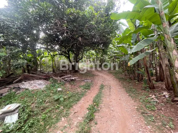 TANAH KOSONG TANAH BARU